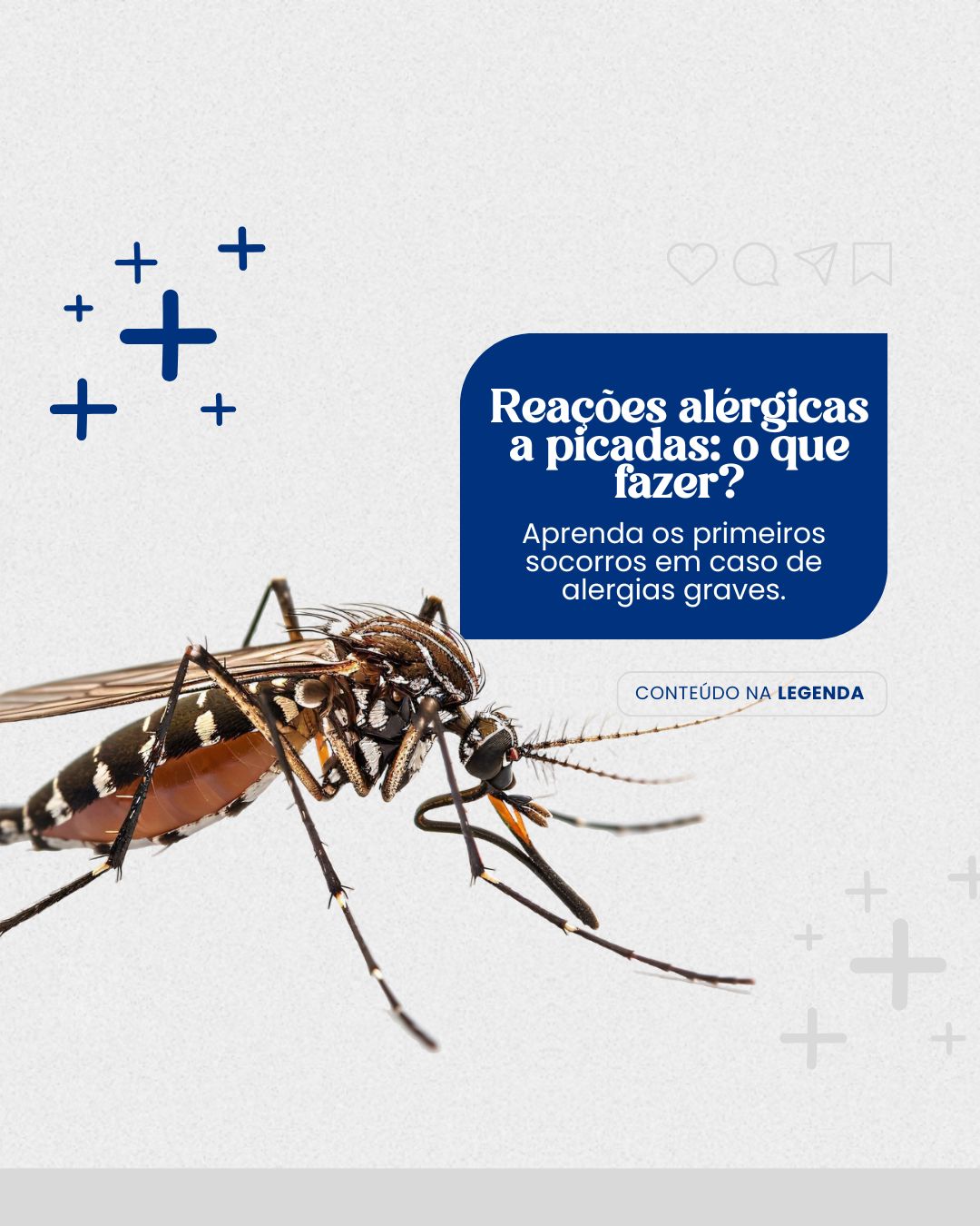 alergia infantil (6)