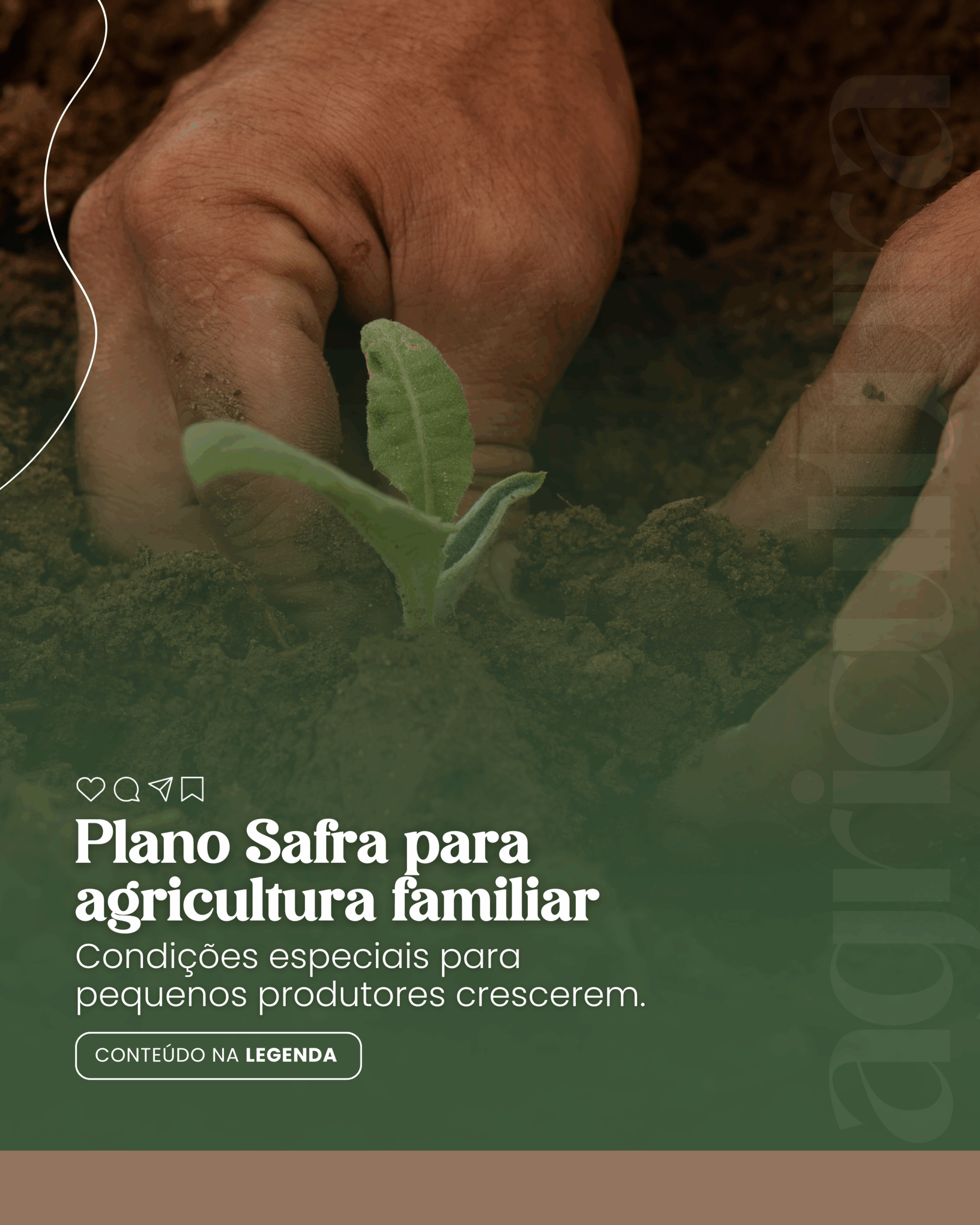 plano safra (4)