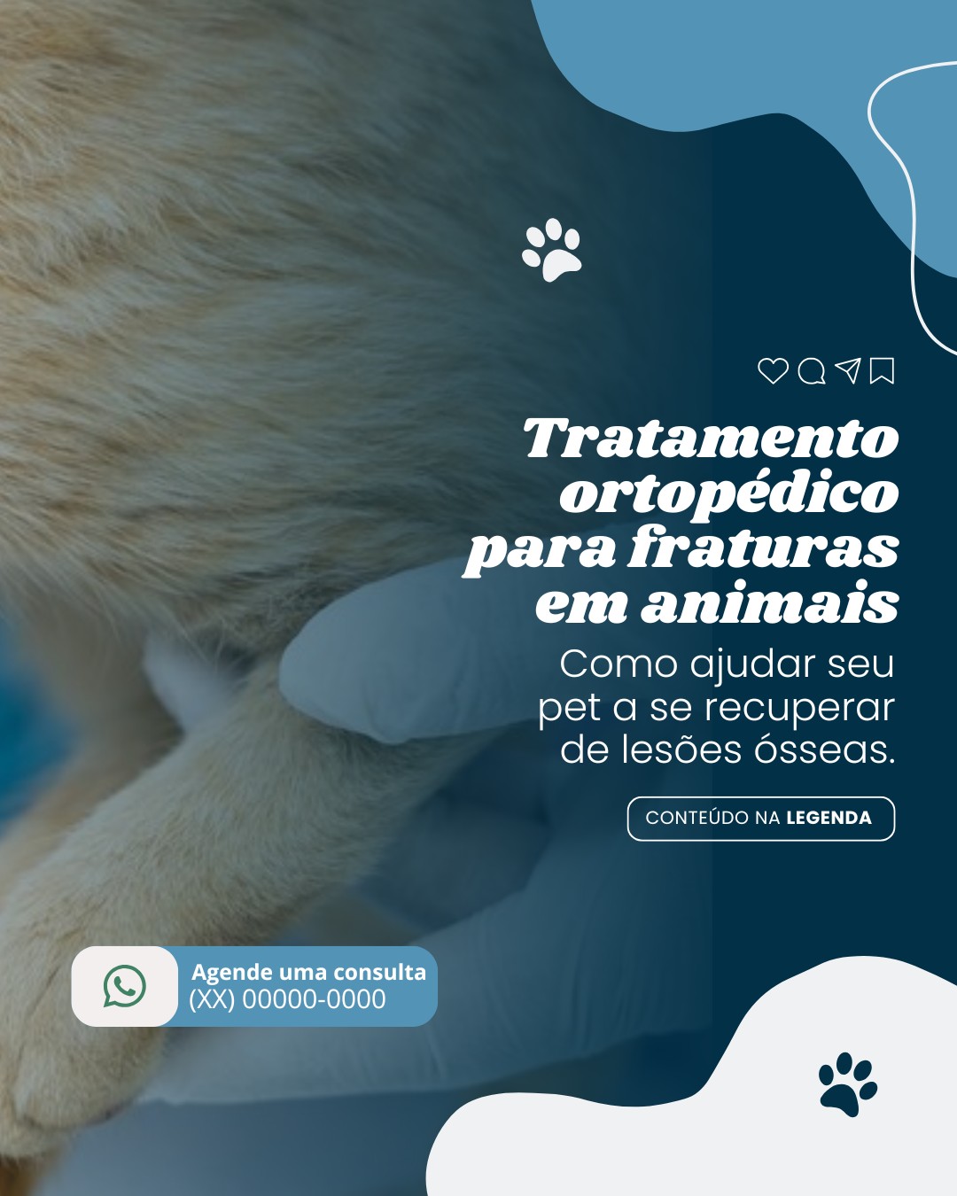 cirurgia veterinaria (1)