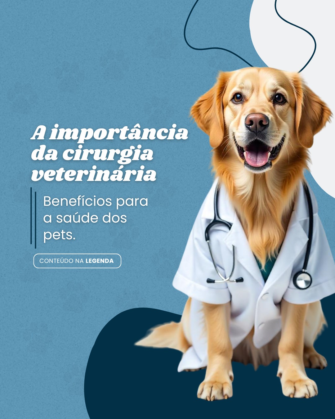 cirurgia veterinaria (10)