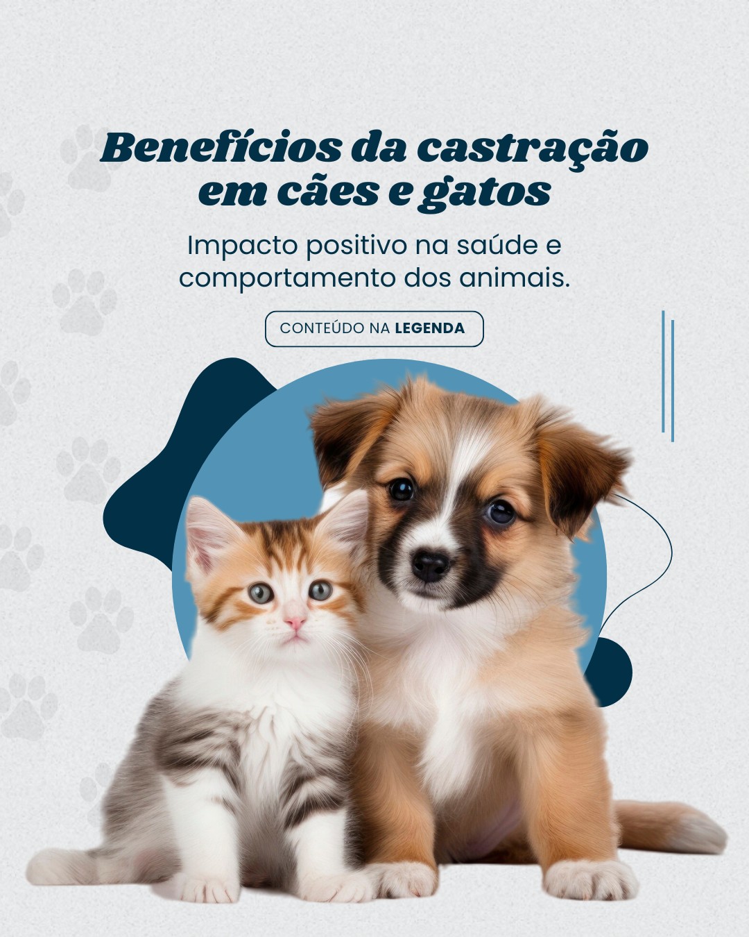 cirurgia veterinaria (2)