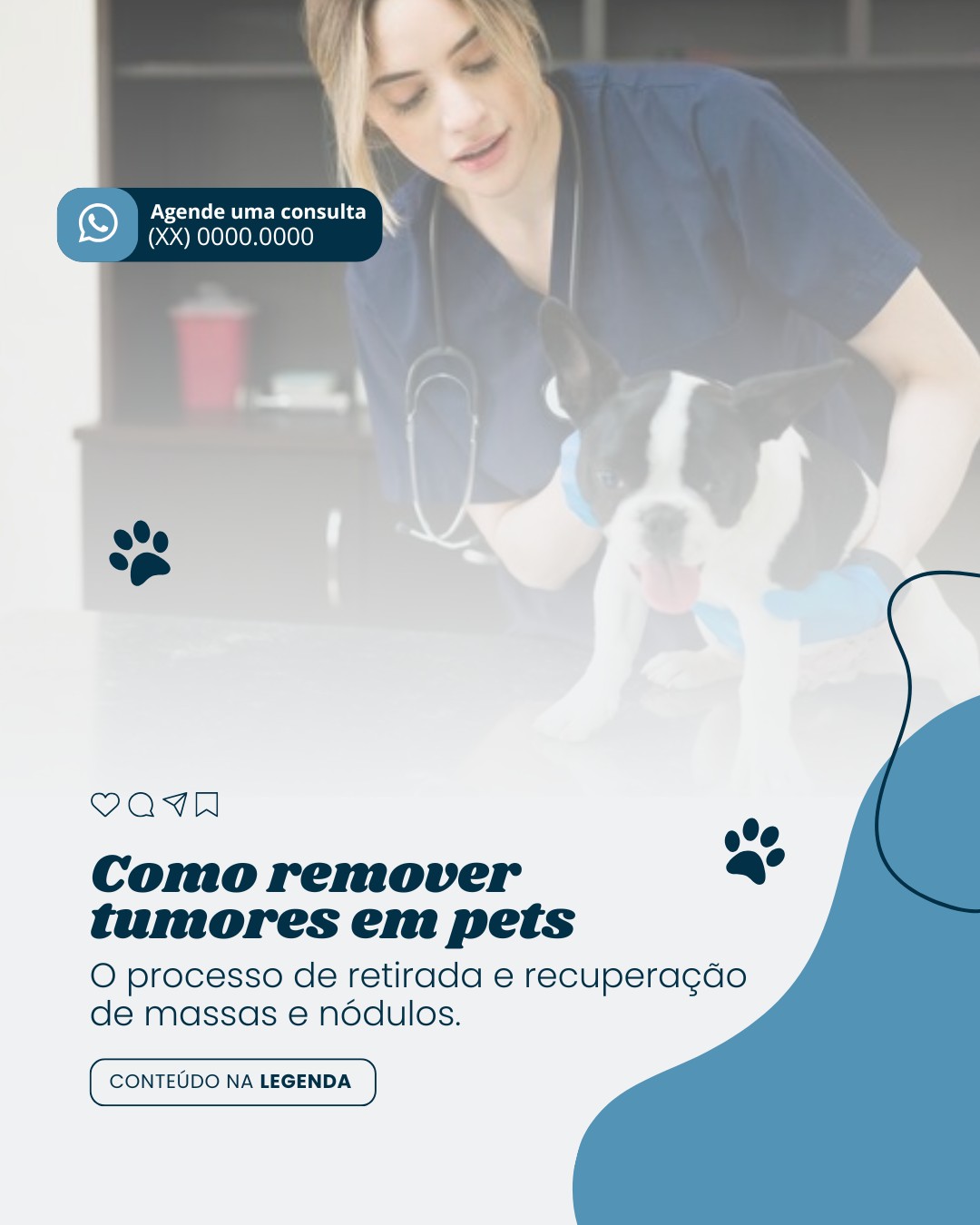 cirurgia veterinaria (3)