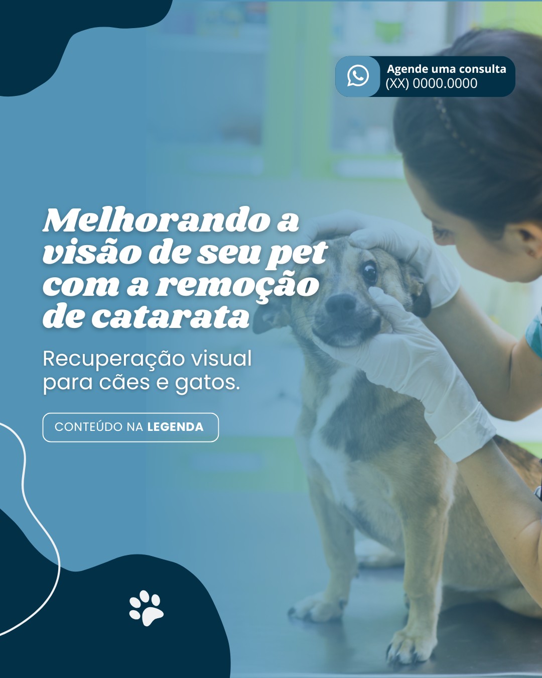 cirurgia veterinaria (5)