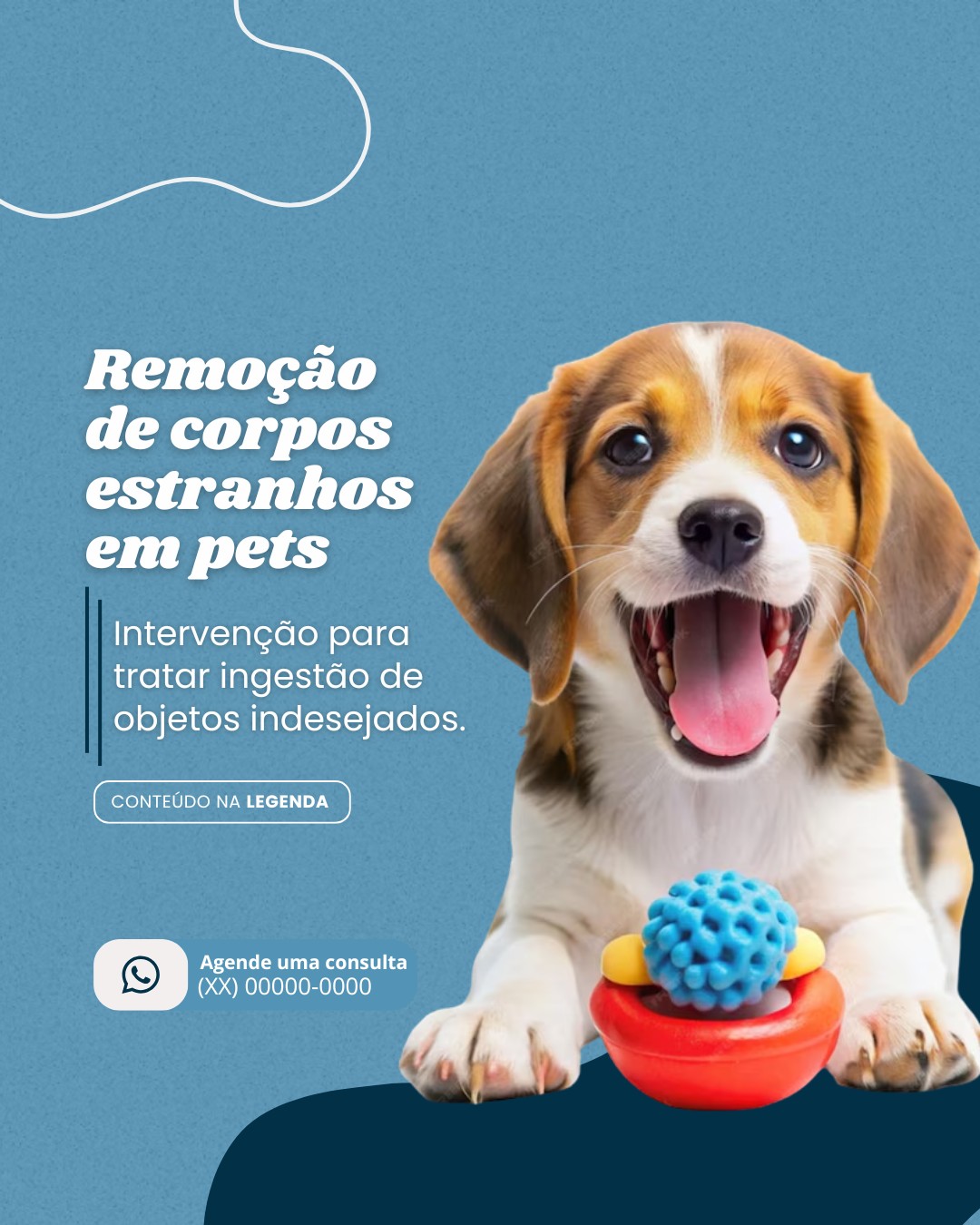 cirurgia veterinaria (9)