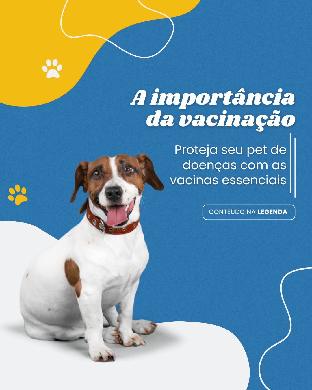 clinica vet (2)