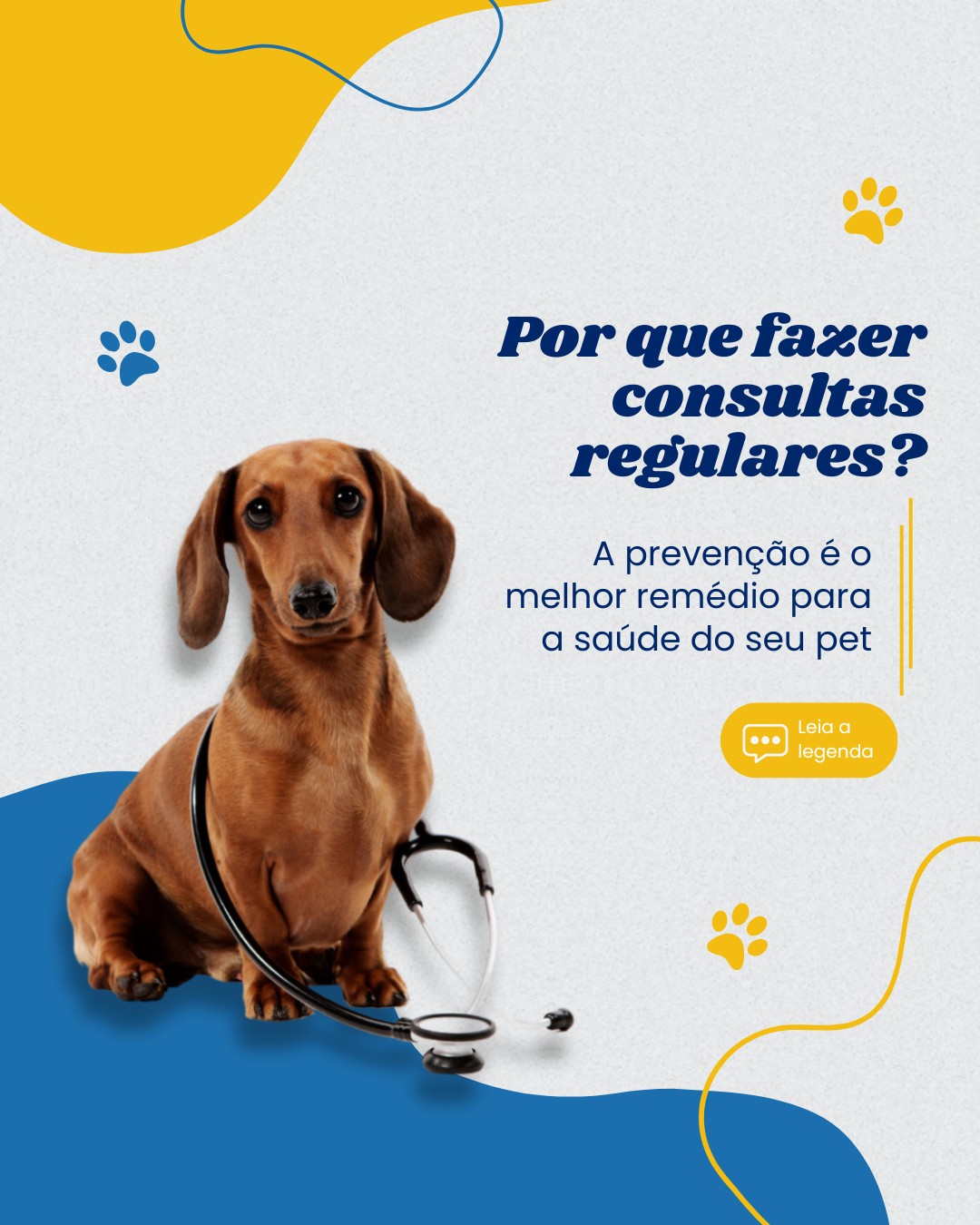 clinica vet (4)