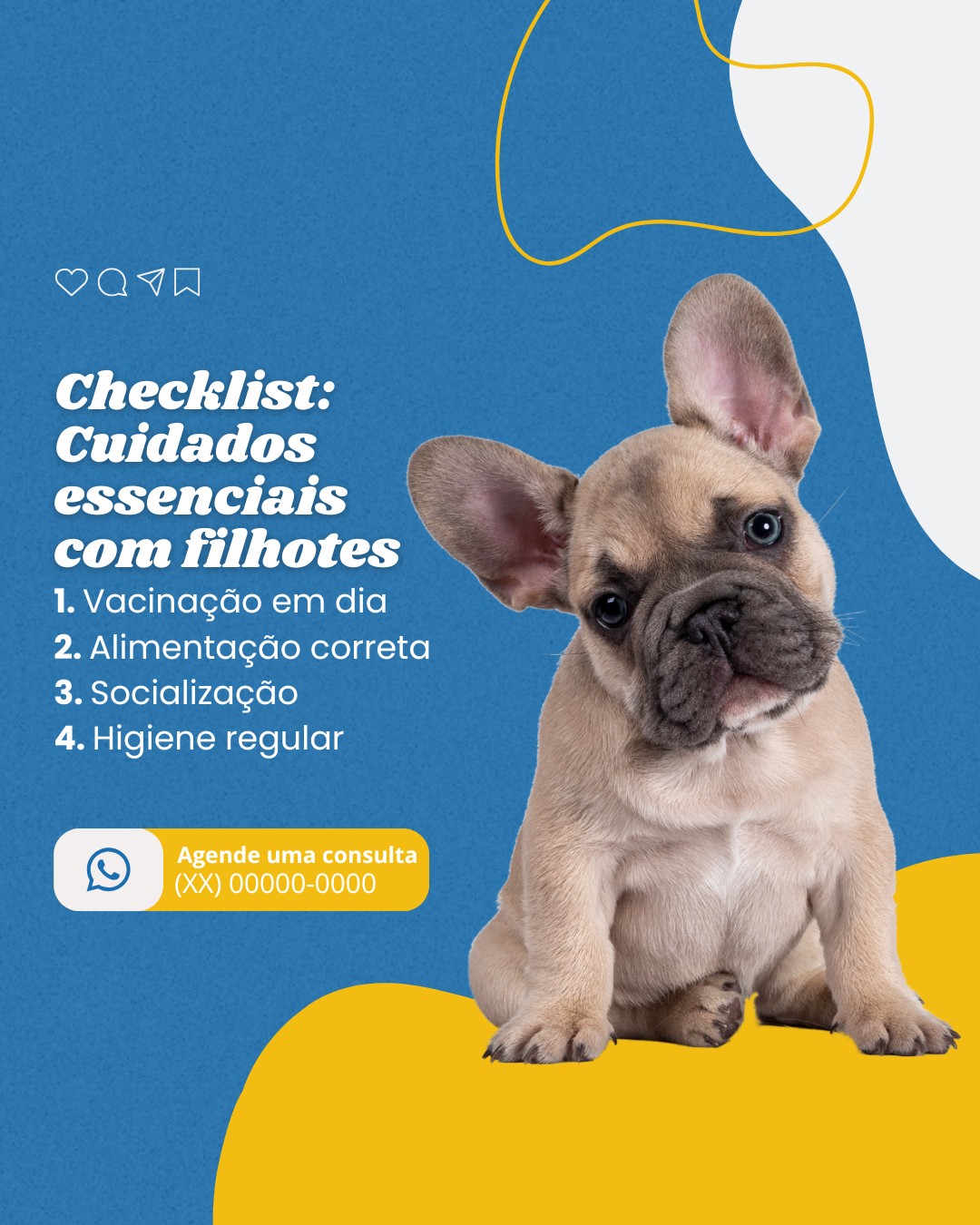 clinica vet (5)