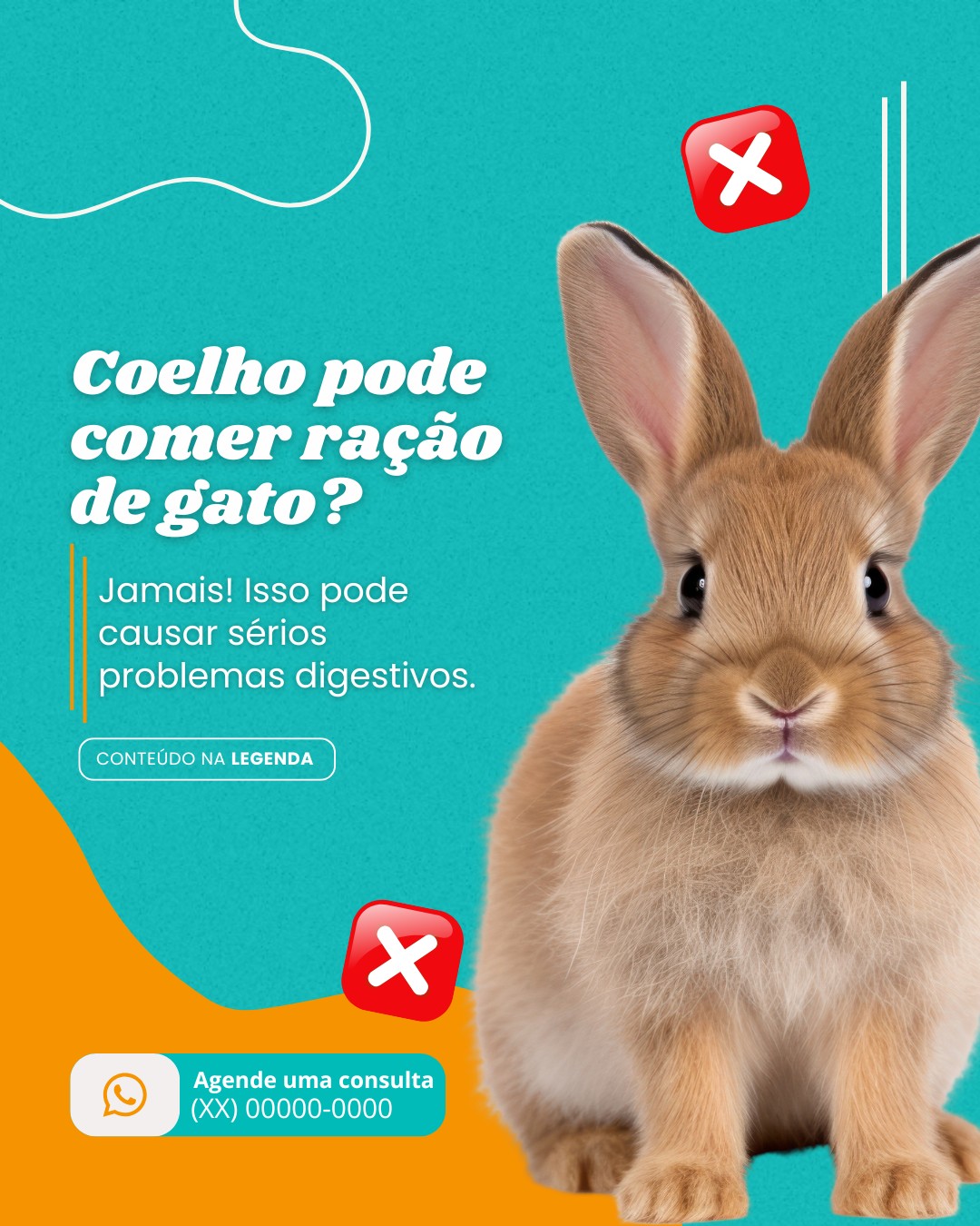 pets n convencionais (10)