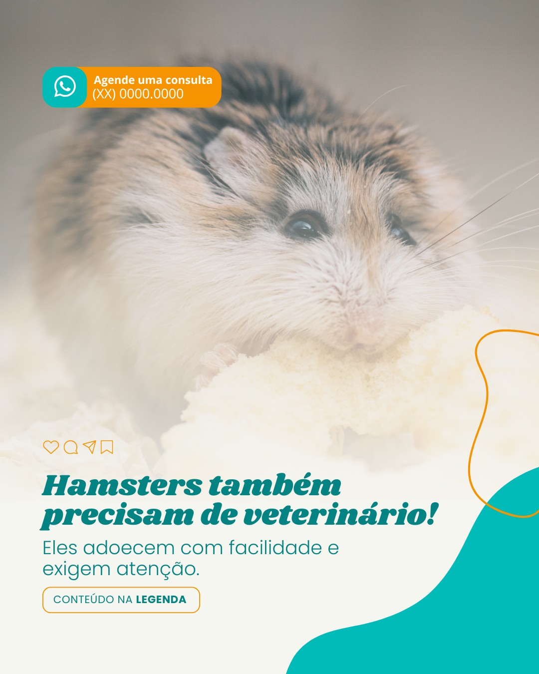 pets n convencionais (4)