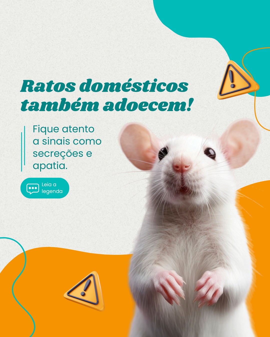 pets n convencionais (8)