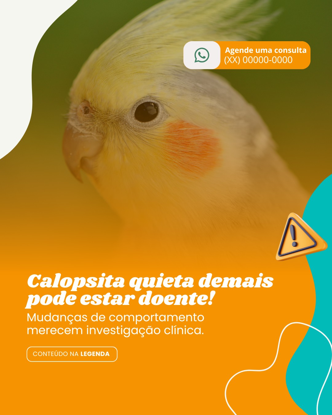 pets n convencionais (9)