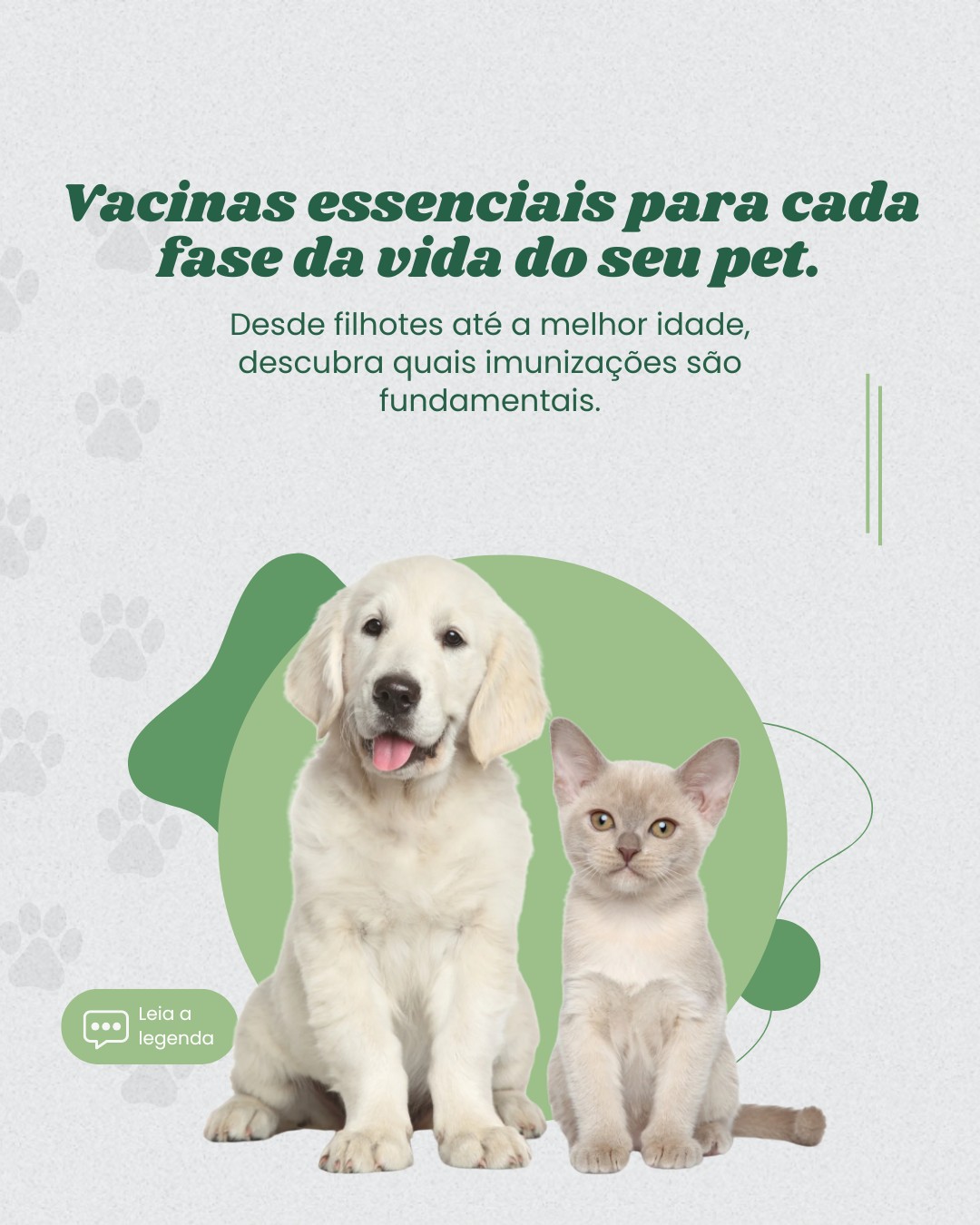vacinas de pets (1)