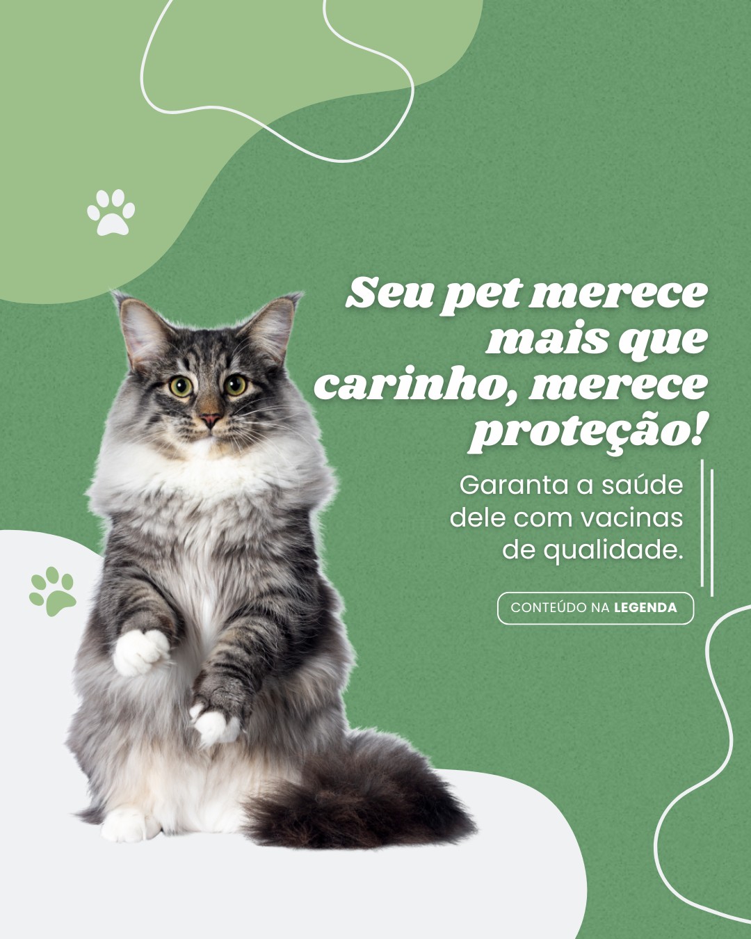 vacinas de pets (2)