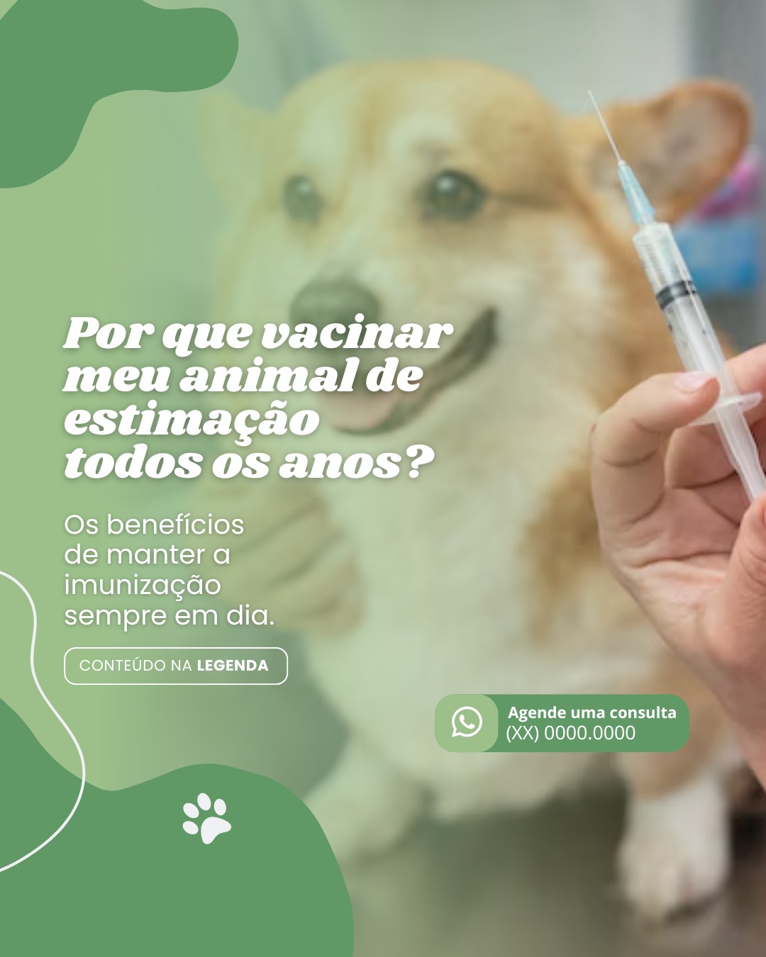 vacinas de pets (3)