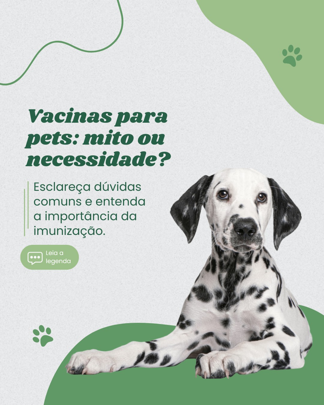 vacinas de pets (6)