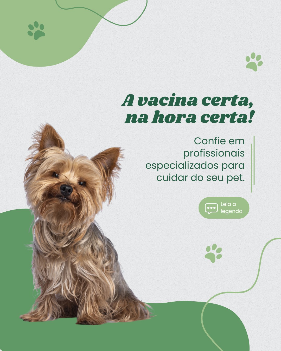 vacinas de pets (7)