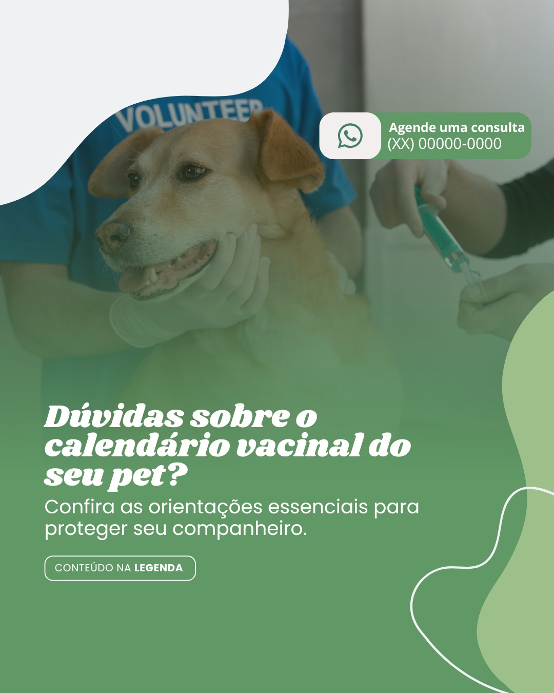 vacinas de pets (9)