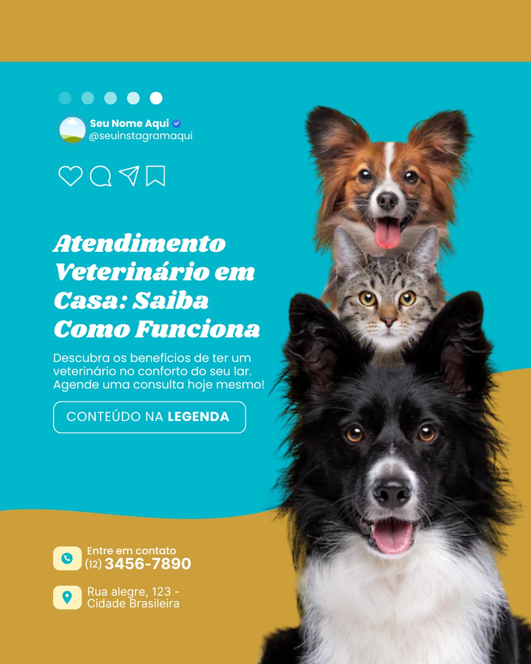 veterinario a domicilio (1)