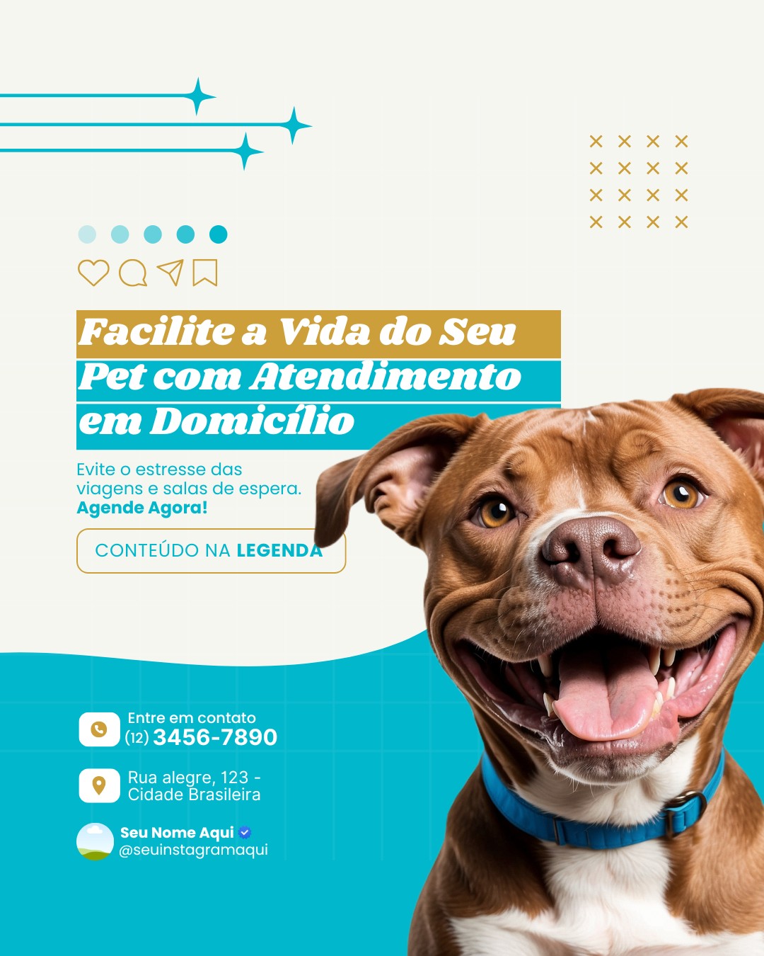 veterinario a domicilio (4)