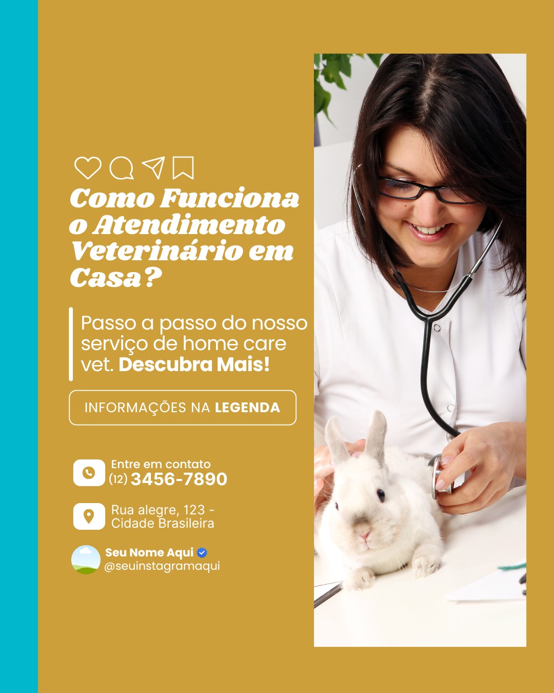 veterinario a domicilio (5)