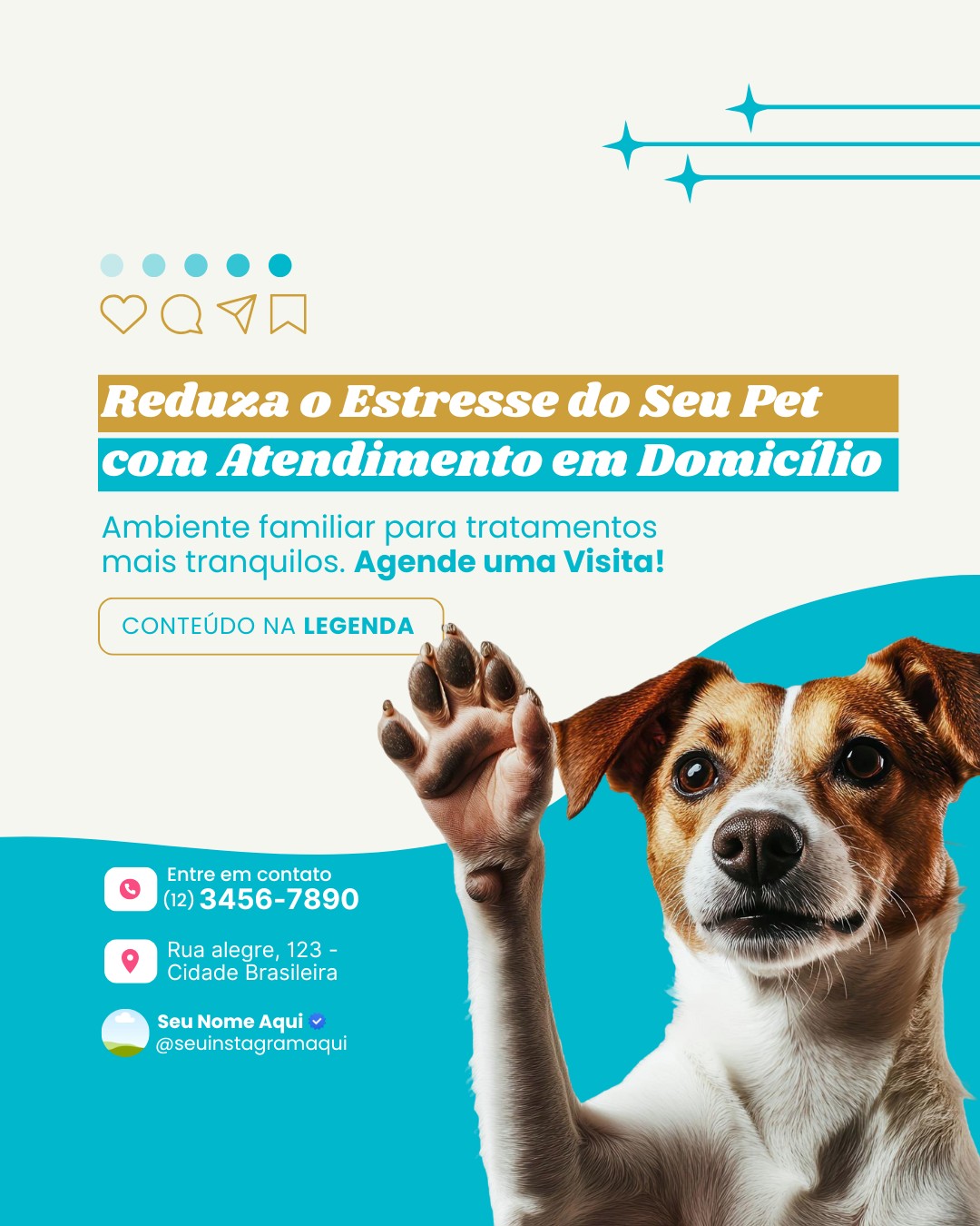 veterinario a domicilio (6)