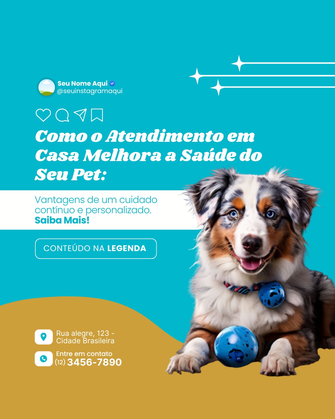 veterinario a domicilio (7)