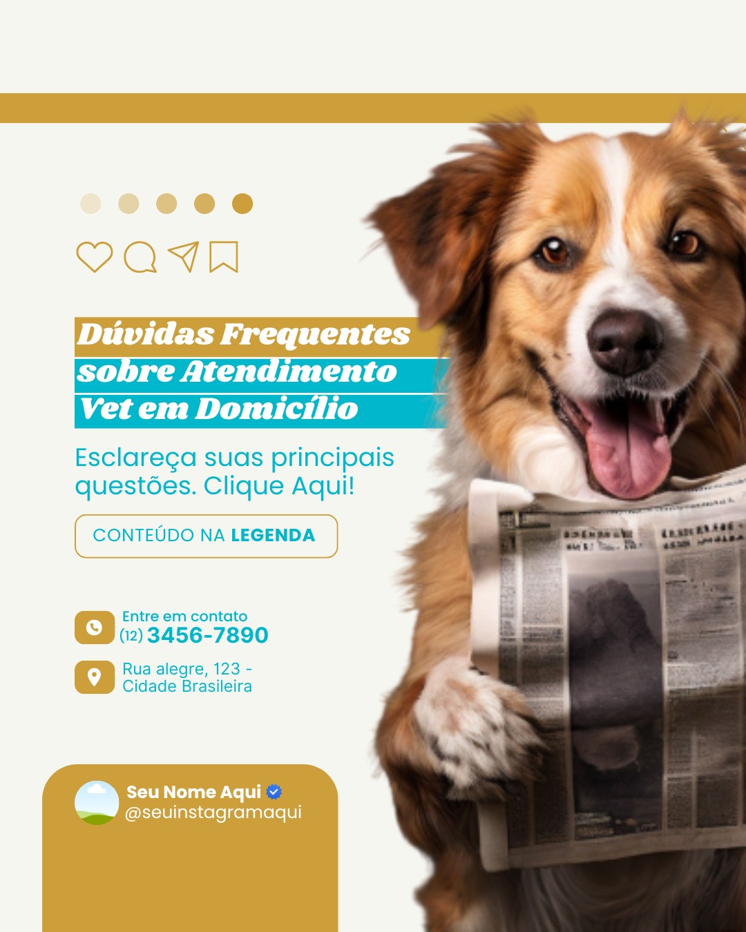 veterinario a domicilio (8)