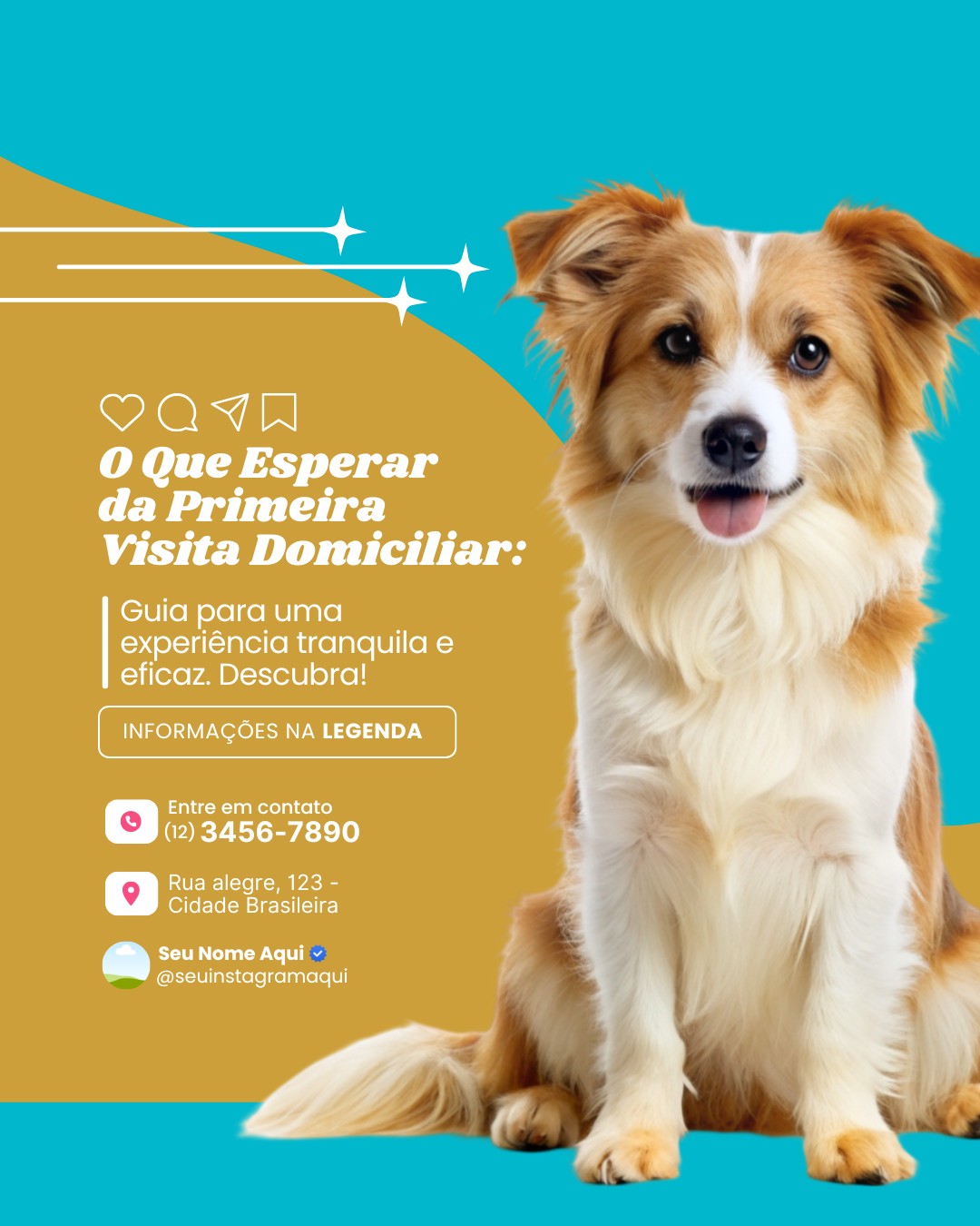 veterinario a domicilio (9)