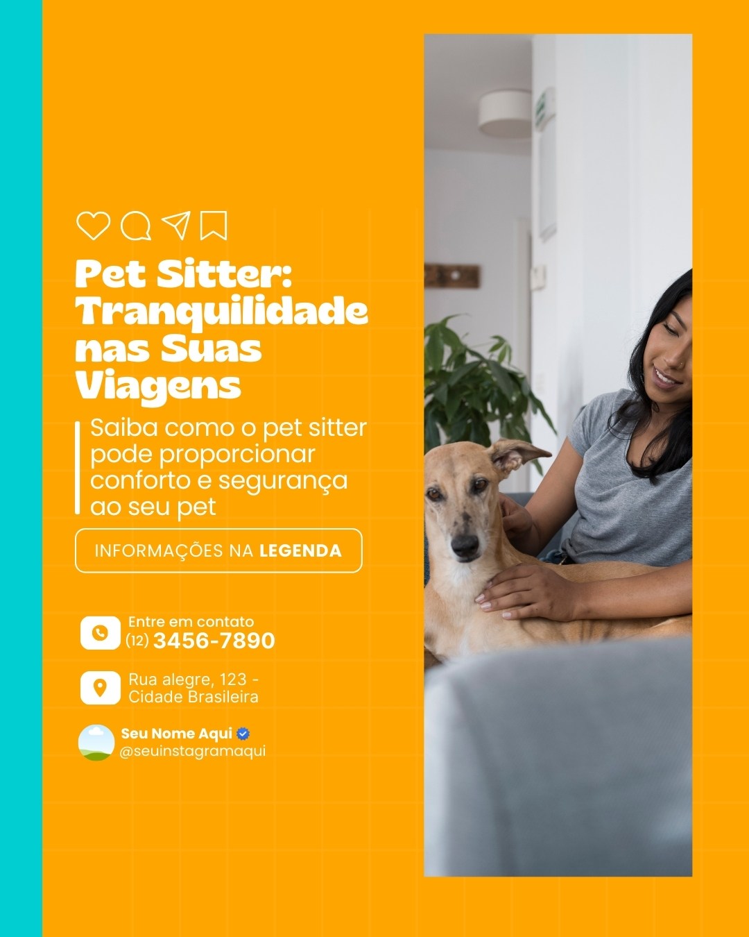 pet sitter (6)