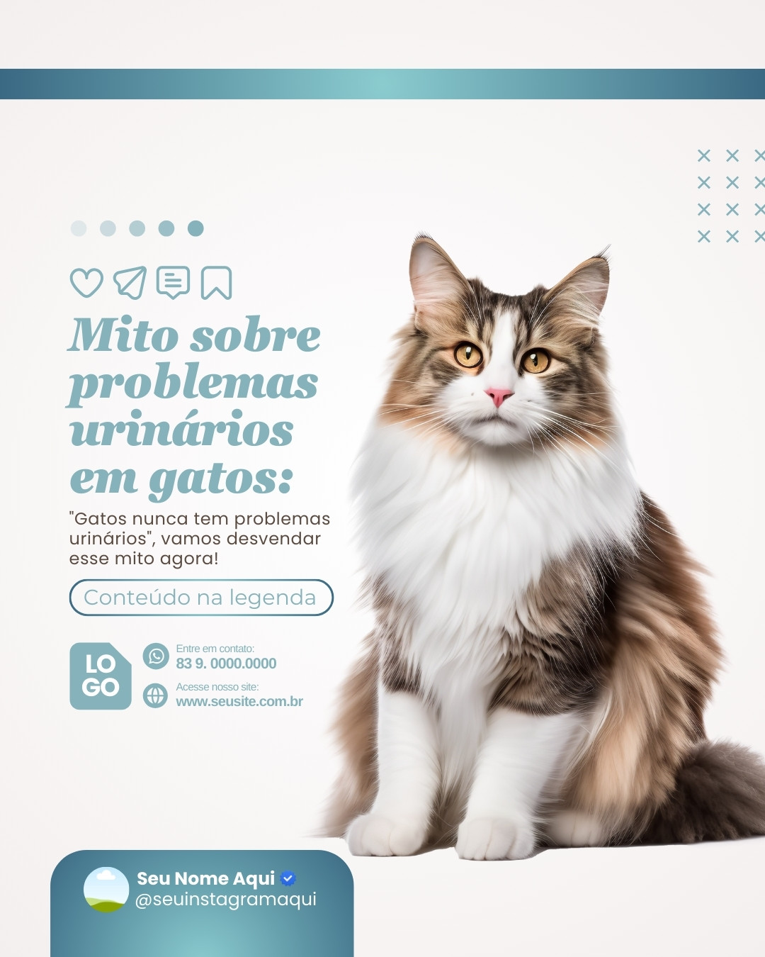 urologia veterinaria (10)