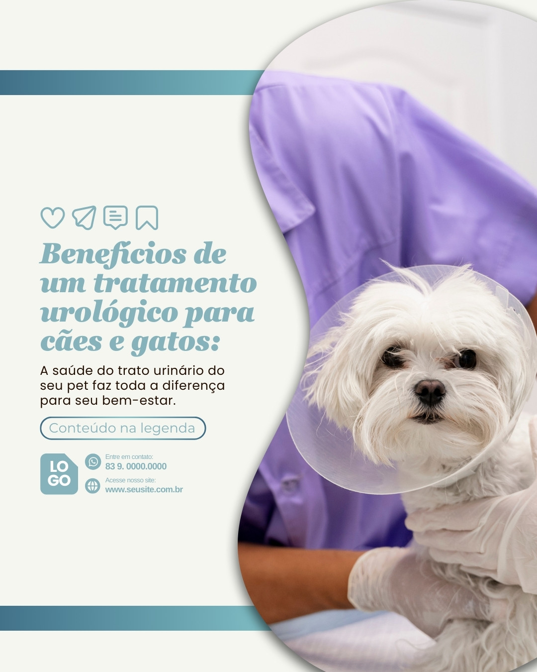 urologia veterinaria (3)