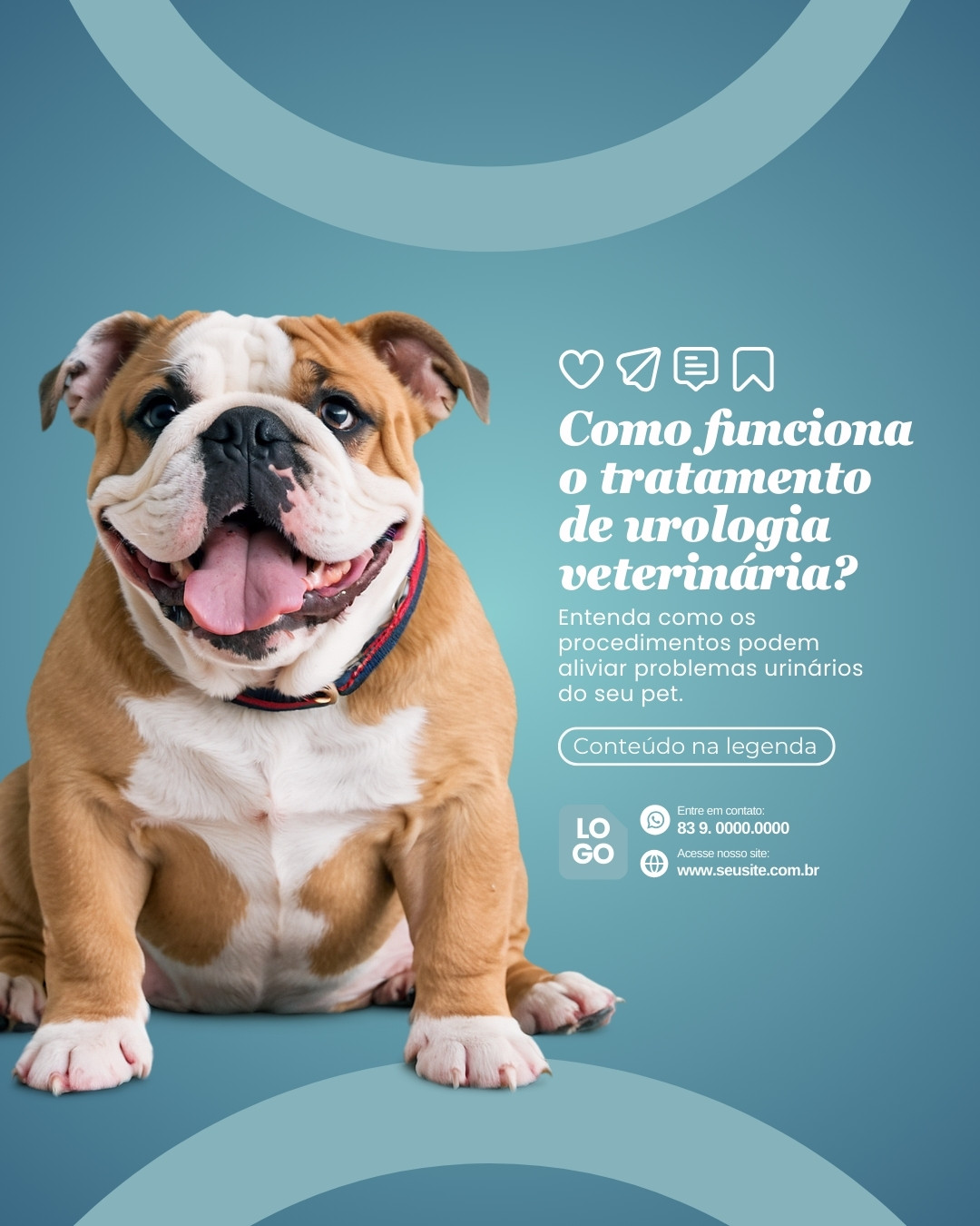 urologia veterinaria (4)