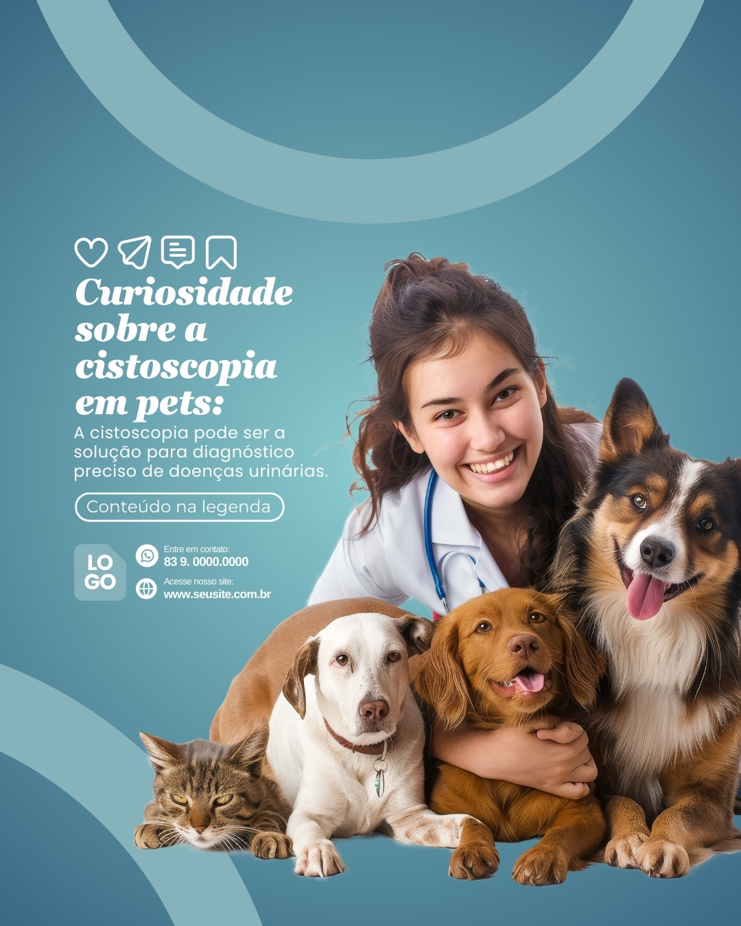 urologia veterinaria (7)