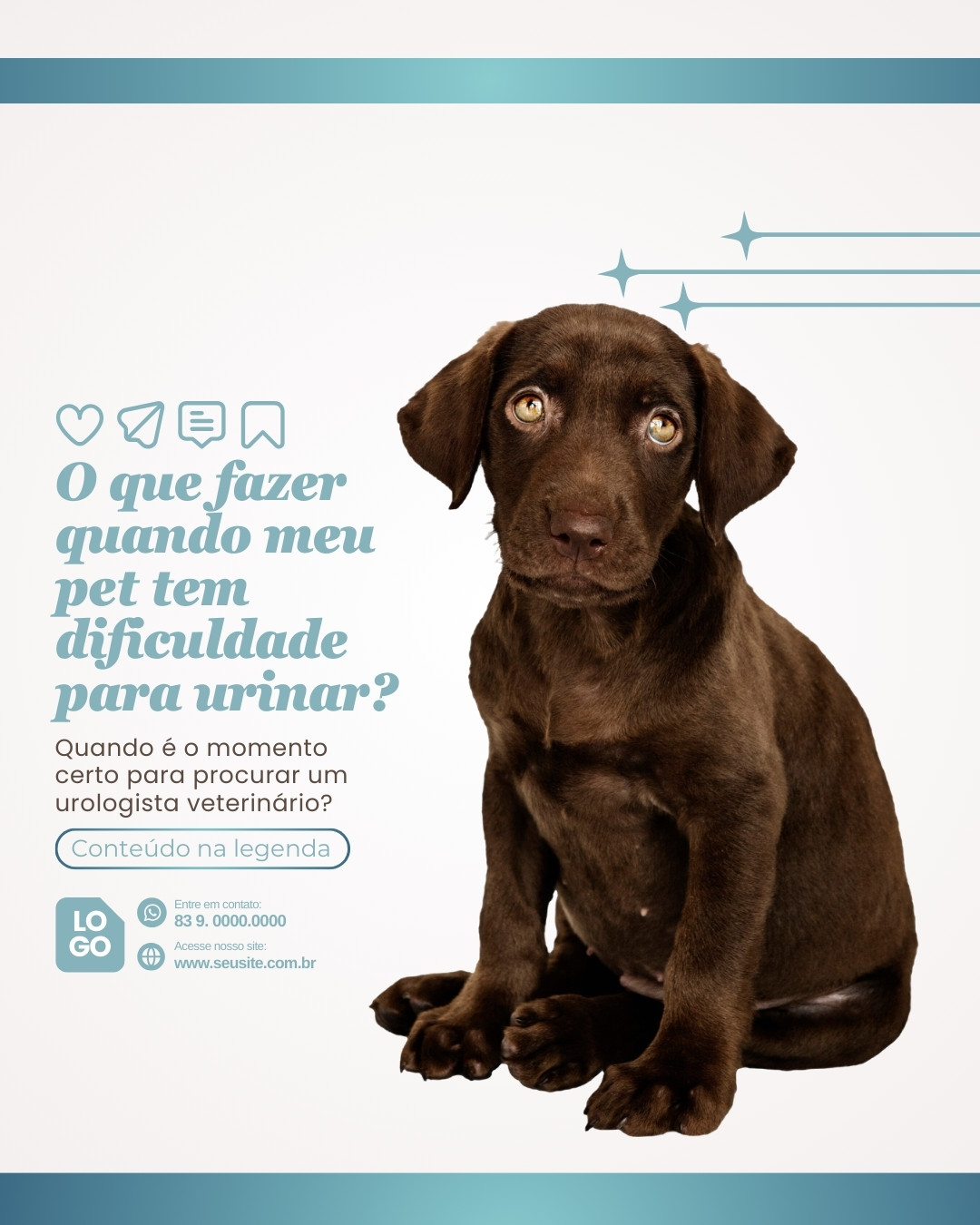 urologia veterinaria (8)