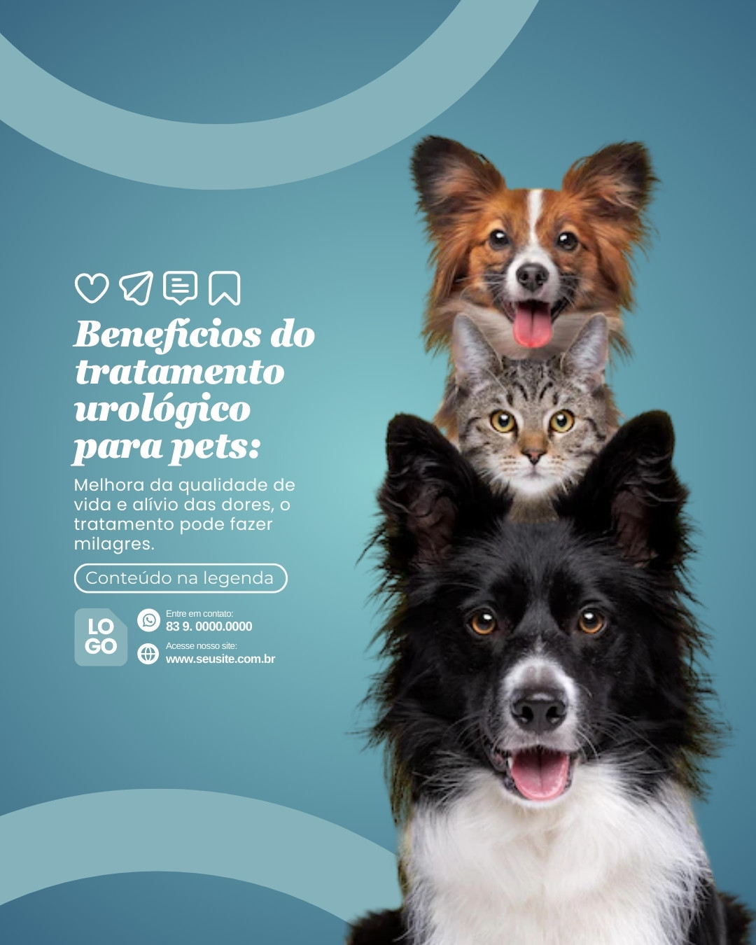 urologia veterinaria (9)
