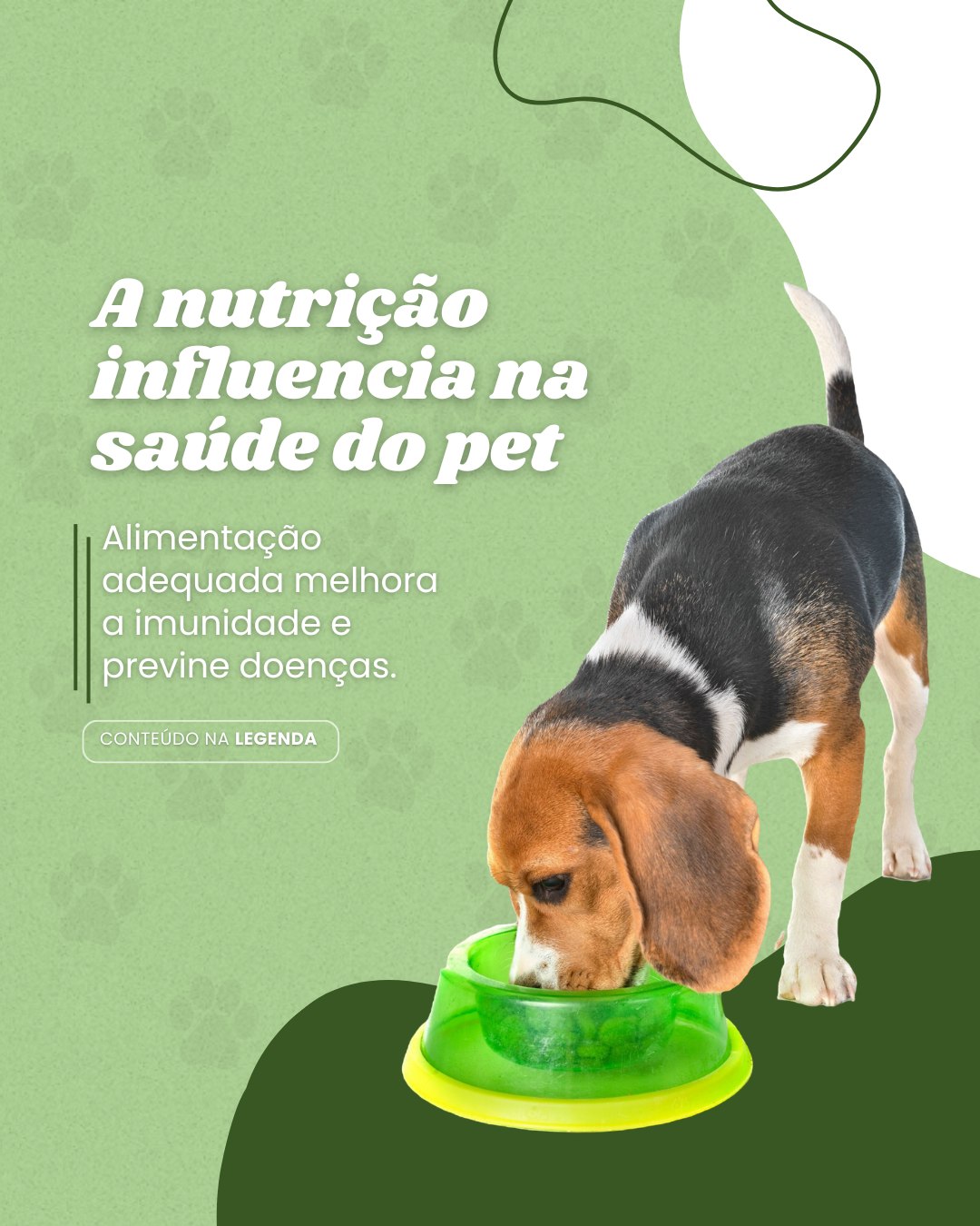 nutri vet (1)