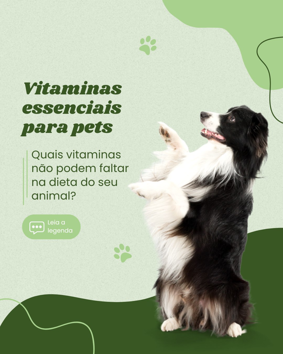 nutri vet (4)