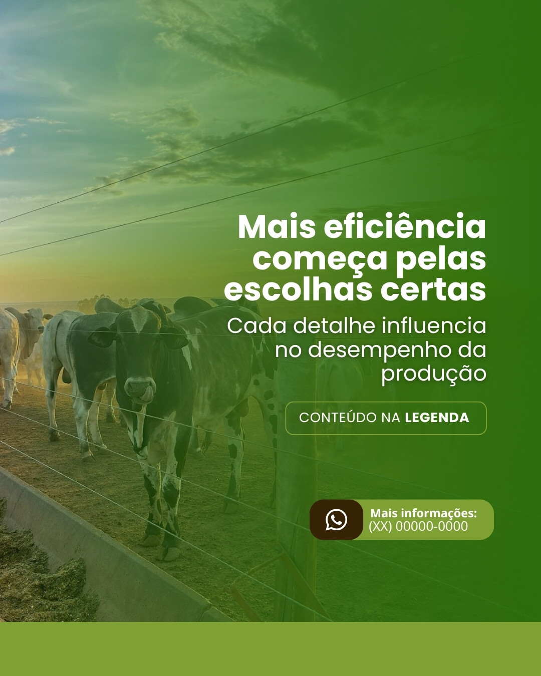 AGRO (10)
