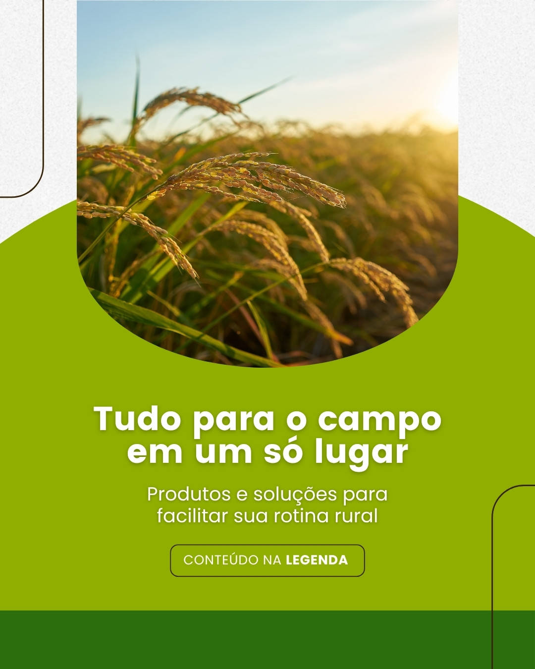 AGRO (5)
