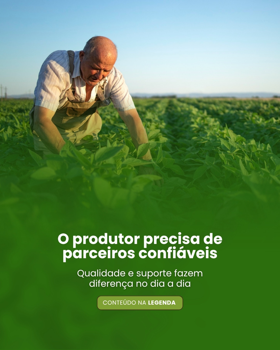 AGRO (7)
