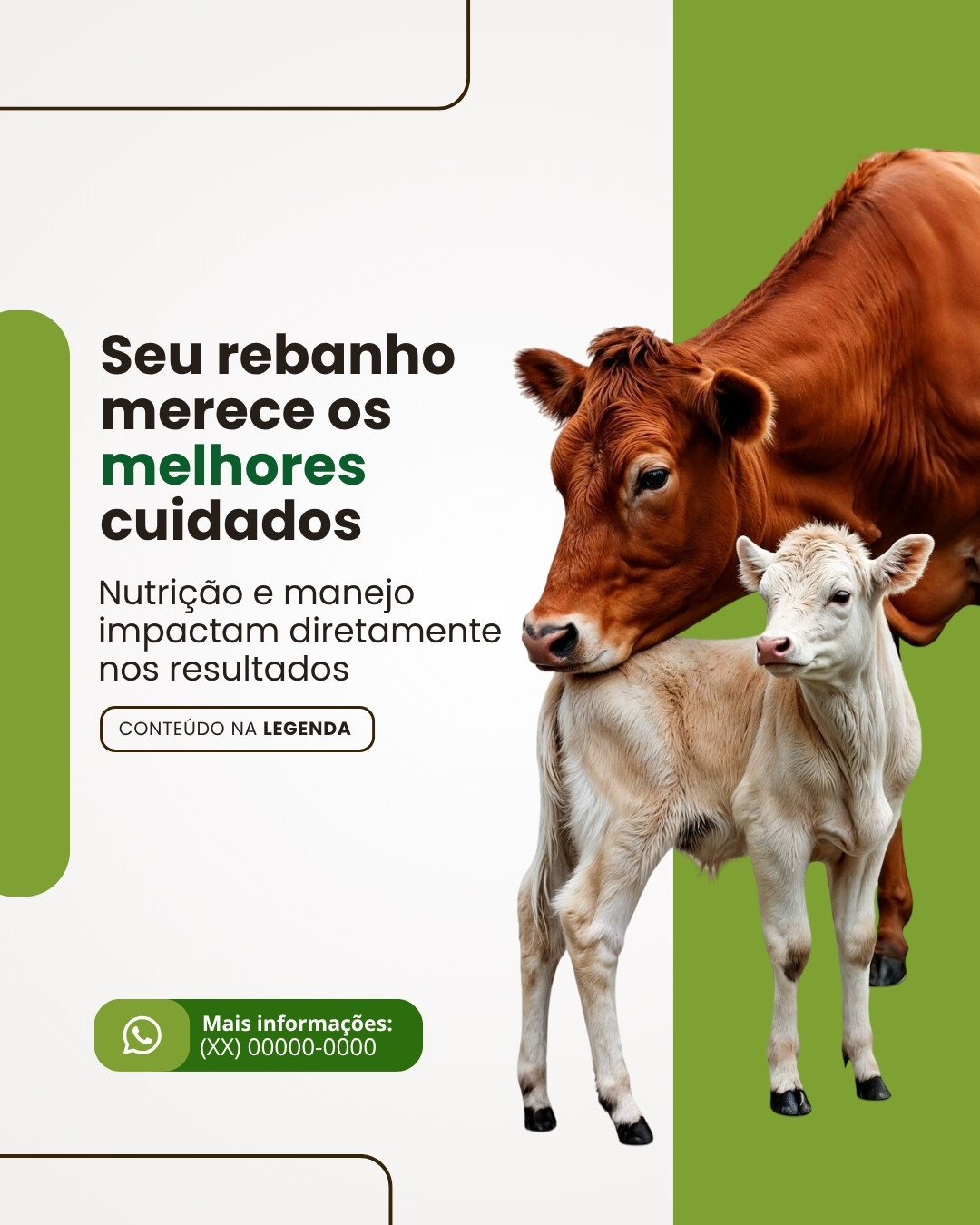 AGRO (8)