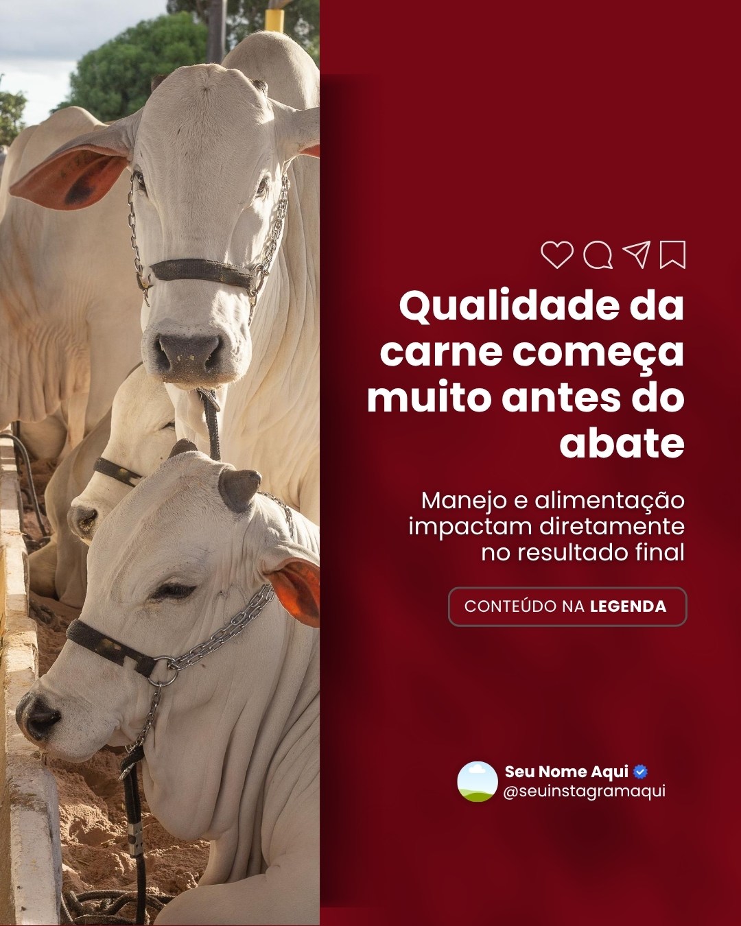 FRIGORIFICO (2)
