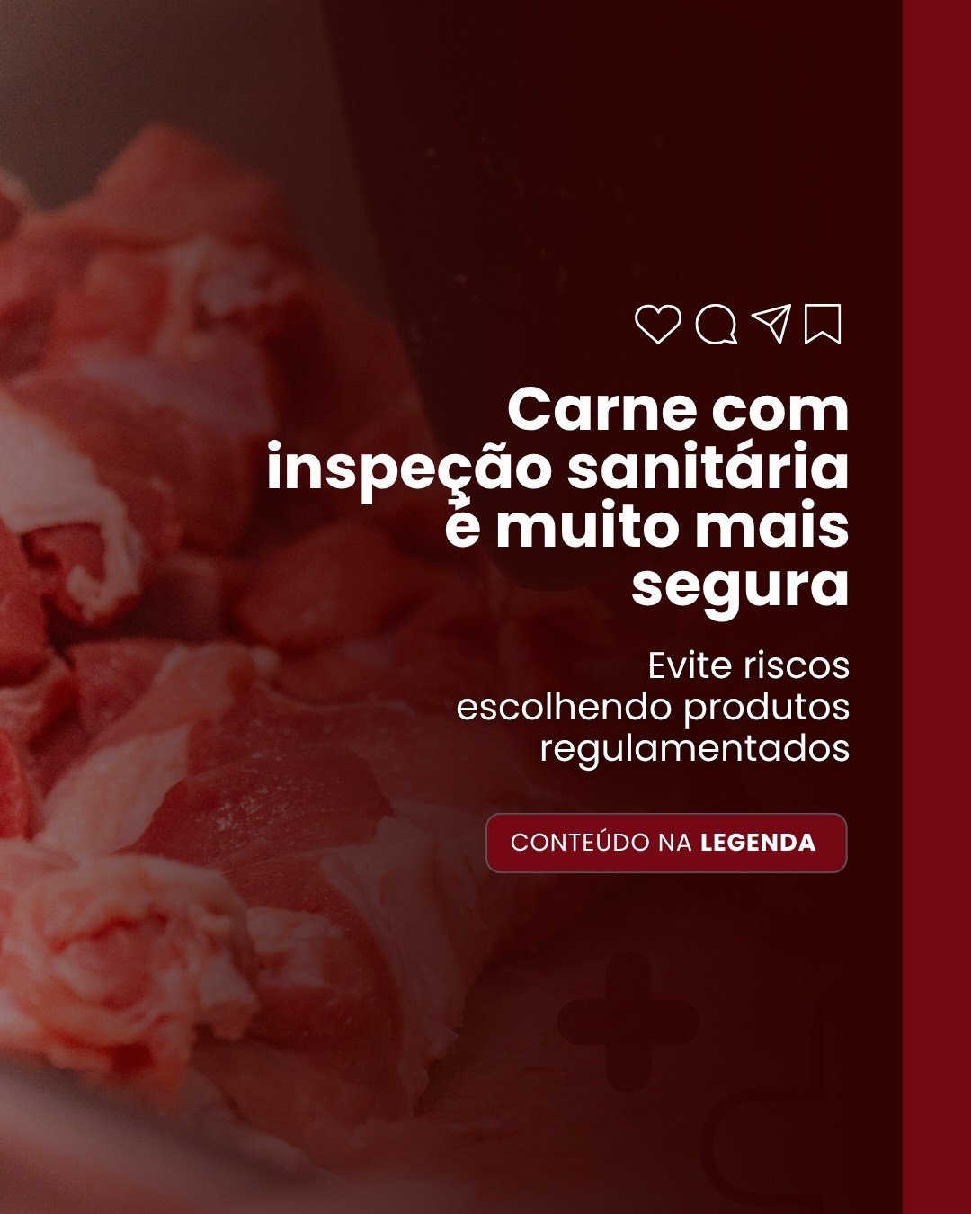 FRIGORIFICO (4)