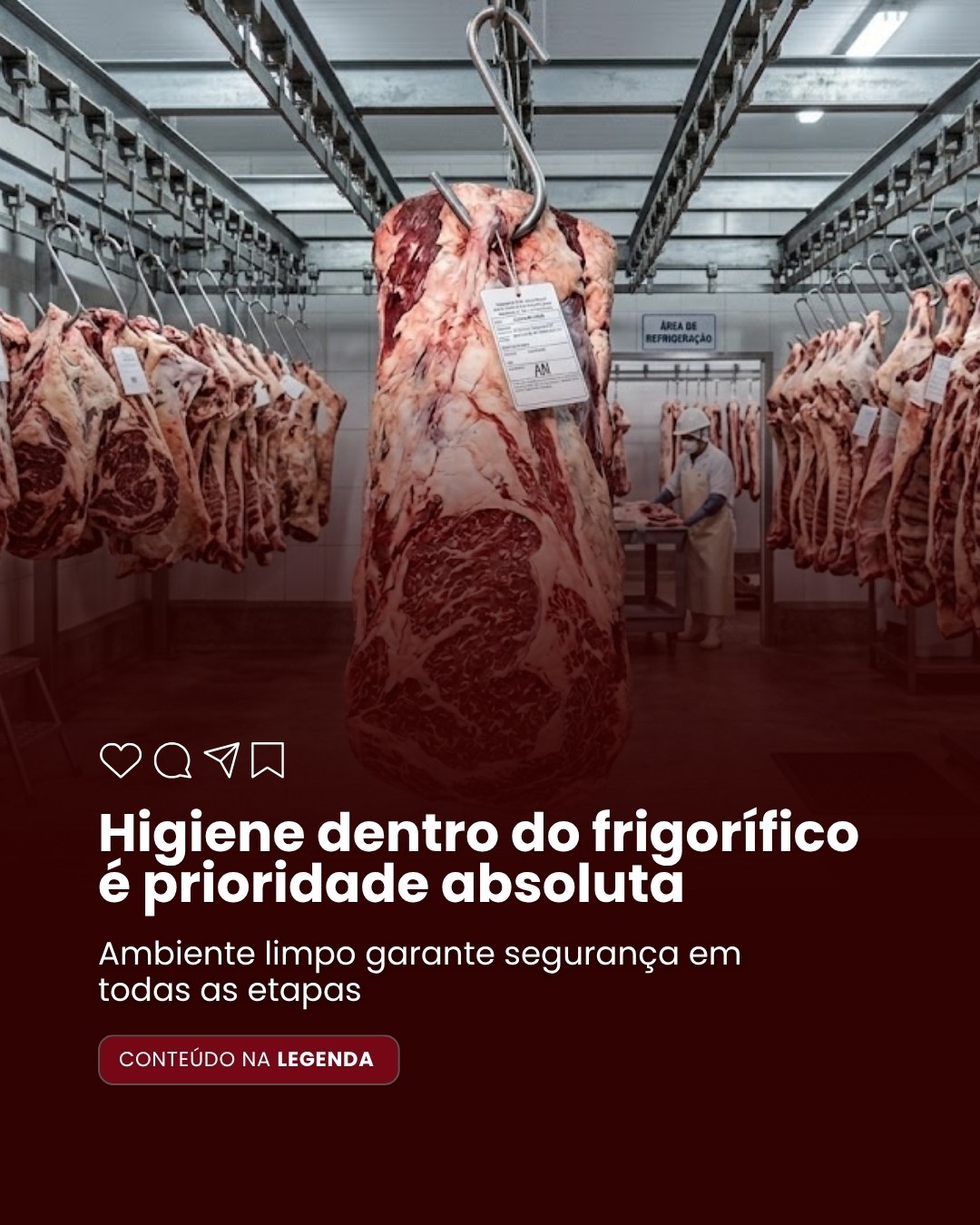 FRIGORIFICO (7)