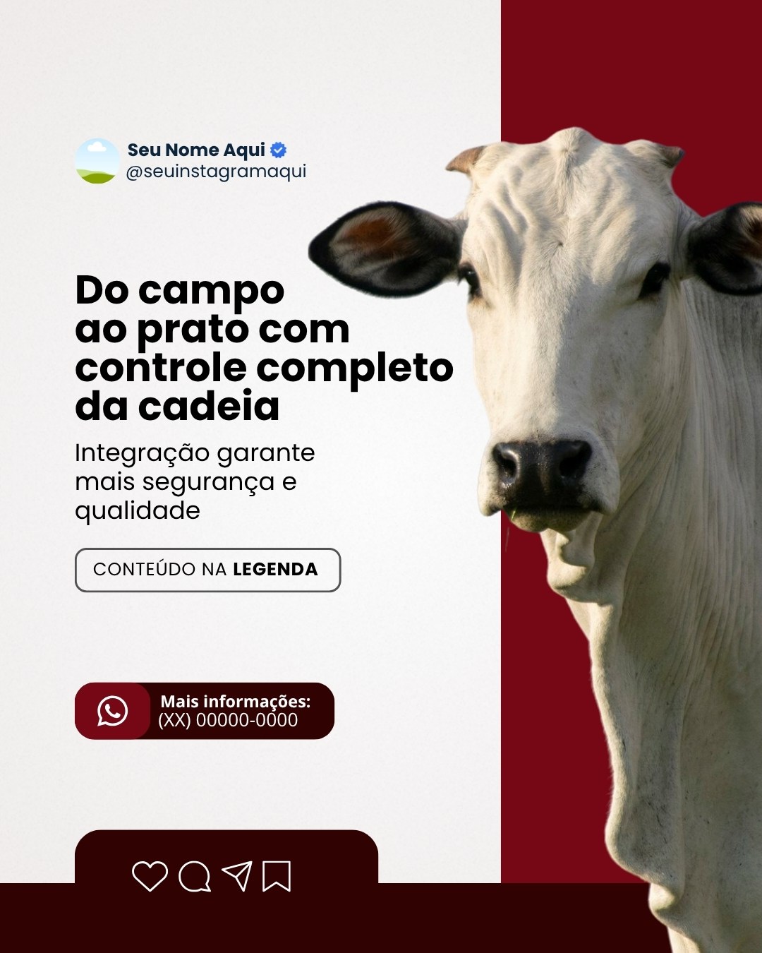FRIGORIFICO (9)