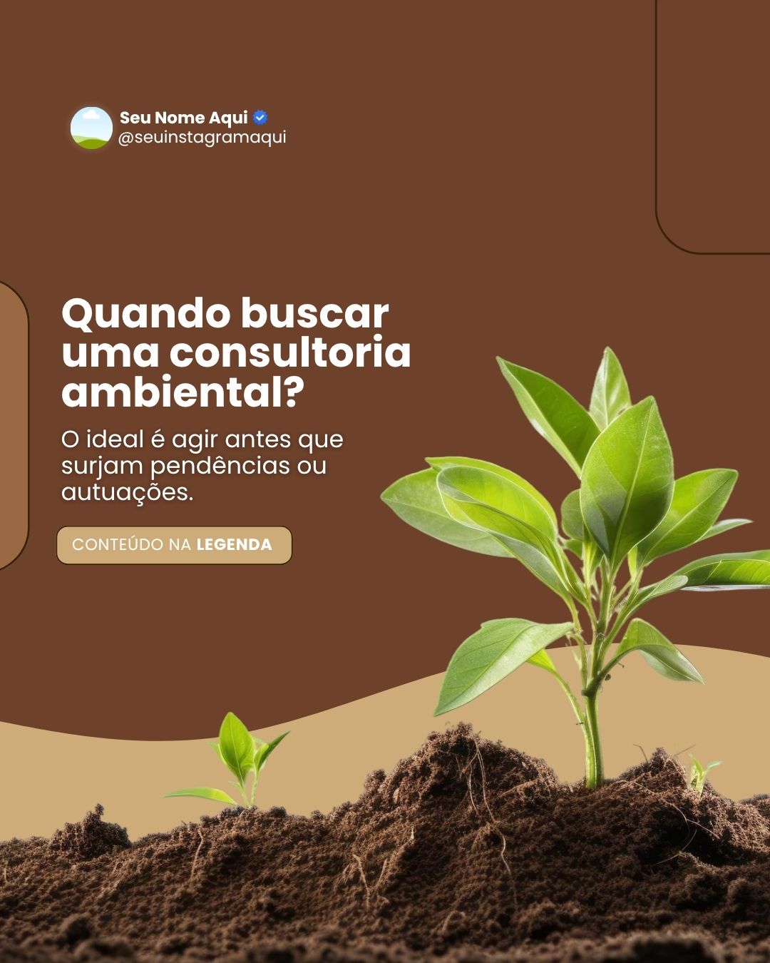 CONSULTORIA AMBIENTAL (4)