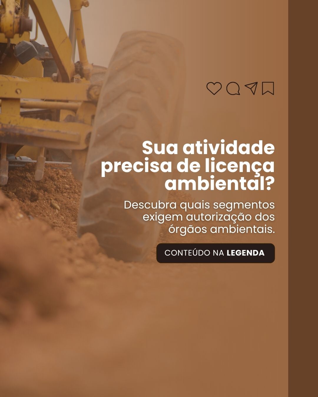 CONSULTORIA AMBIENTAL (9)