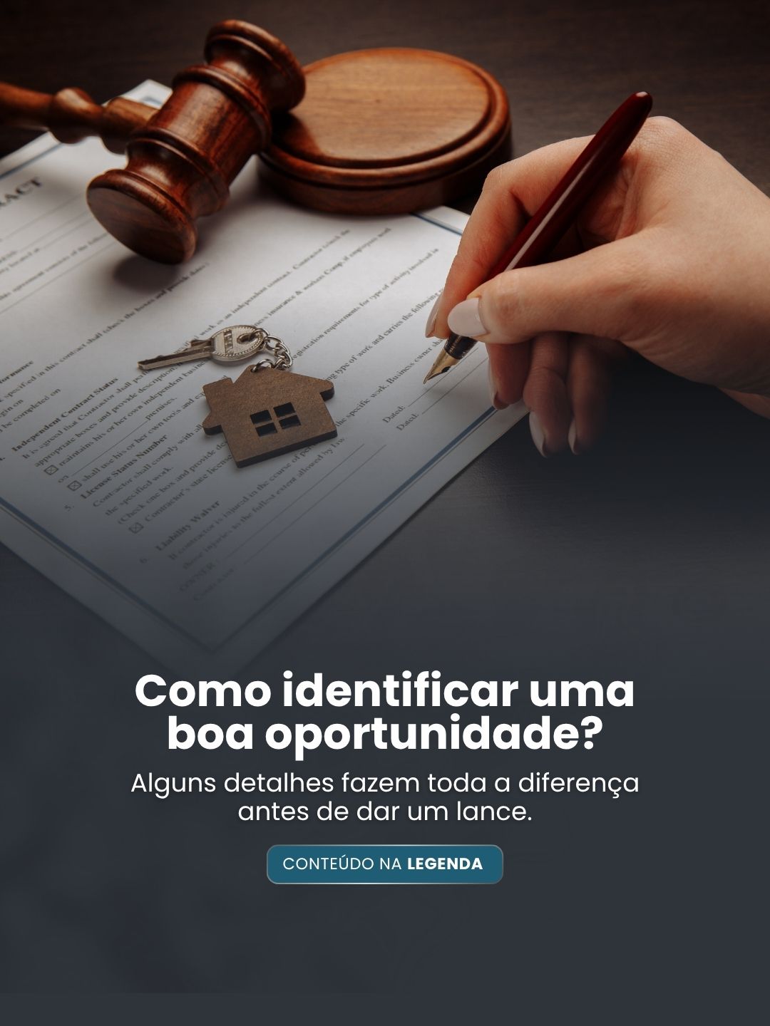 leilão (6)